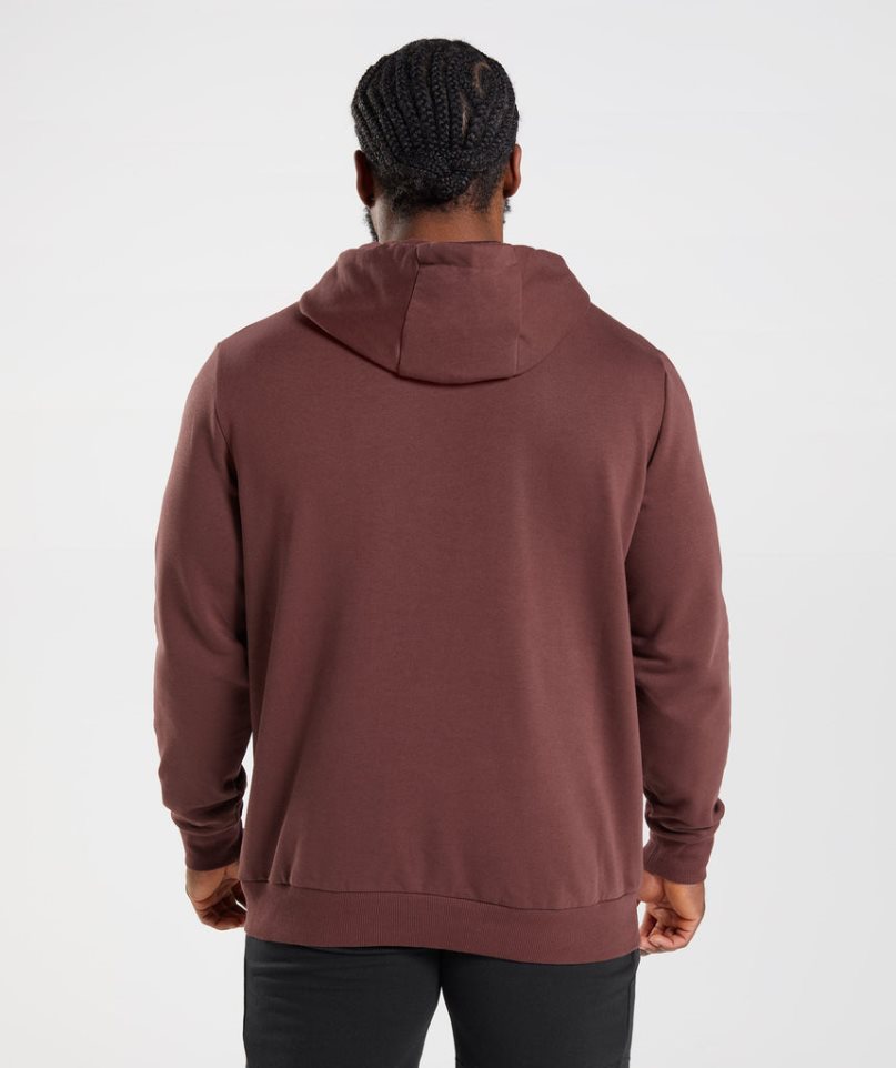 Men's Gymshark Sharkhead Infill Hoodie Brown | CA 1D8370